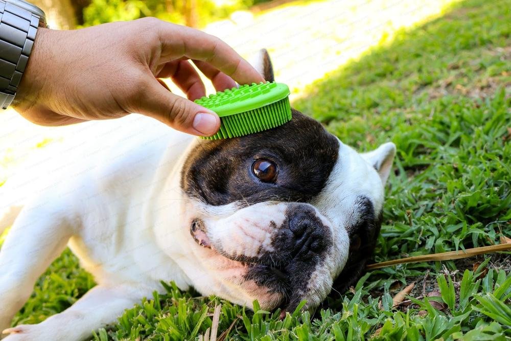 A natural rubber pet brush being used on a dog lying in the grass